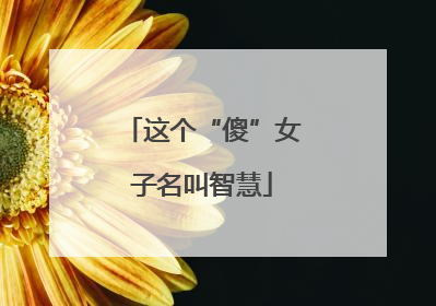 这个“傻”女子名叫智慧