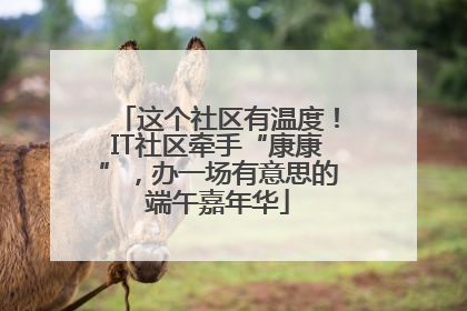 这个社区有温度！IT社区牵手“康康”，办一场有意思的端午嘉年华