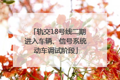 轨交18号线二期进入车辆、信号系统动车调试阶段