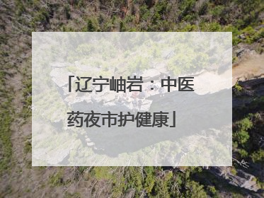 辽宁岫岩：中医药夜市护健康