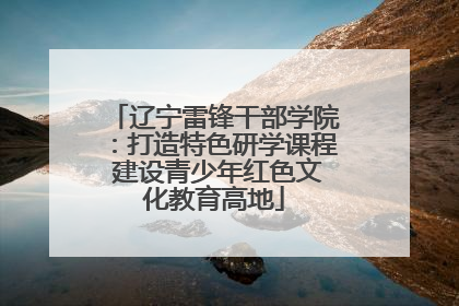 辽宁雷锋干部学院：打造特色研学课程 建设青少年红色文化教育高地
