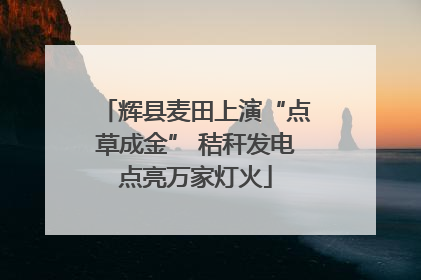 辉县麦田上演“点草成金” 秸秆发电点亮万家灯火