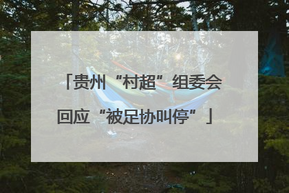 贵州“村超”组委会回应“被足协叫停”