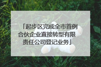 起步区完成全市首例合伙企业直接转型有限责任公司登记业务