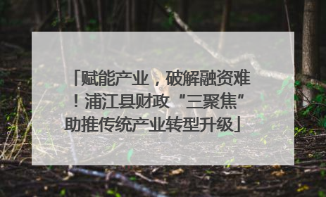 赋能产业，破解融资难！浦江县财政“三聚焦”助推传统产业转型升级