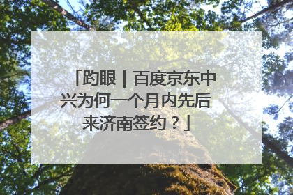 趵眼｜百度京东中兴为何一个月内先后来济南签约？