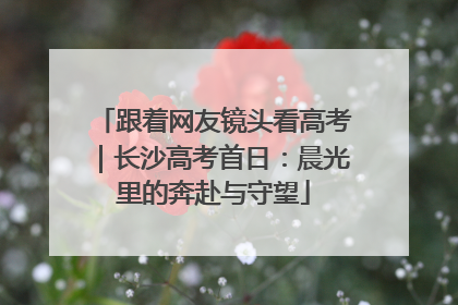 跟着网友镜头看高考｜长沙高考首日：晨光里的奔赴与守望