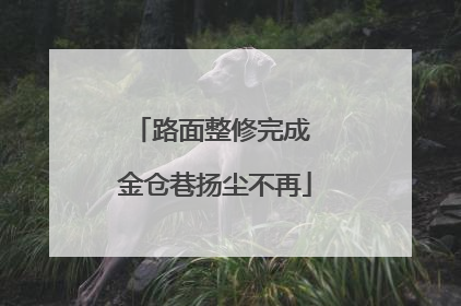 路面整修完成 金仓巷扬尘不再