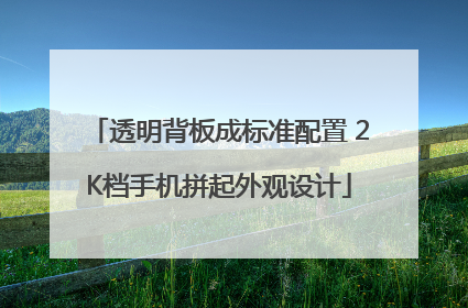 透明背板成标准配置 2K档手机拼起外观设计
