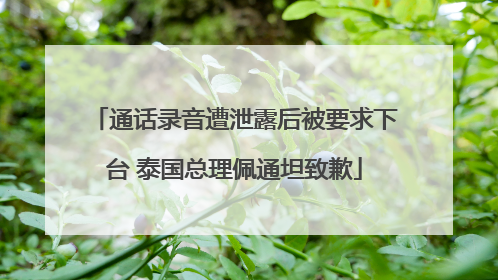 通话录音遭泄露后被要求下台 泰国总理佩通坦致歉