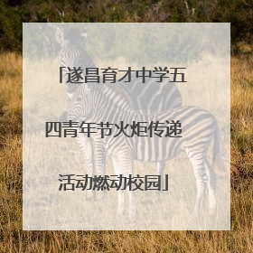 遂昌育才中学五四青年节火炬传递活动燃动校园