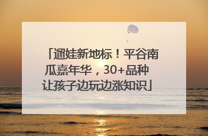 遛娃新地标！平谷南瓜嘉年华，30+品种让孩子边玩边涨知识