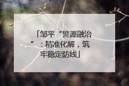 邹平“警源融治”：精准化解，筑牢稳定防线