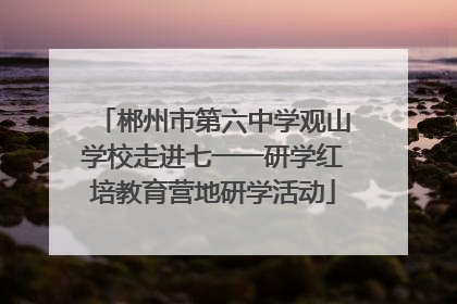 郴州市第六中学观山学校走进七一一研学红培教育营地研学活动