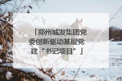郑州城发集团党委创新驱动基层党建“书记项目”