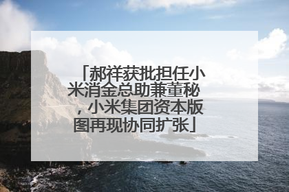 郝祥获批担任小米消金总助兼董秘，小米集团资本版图再现协同扩张