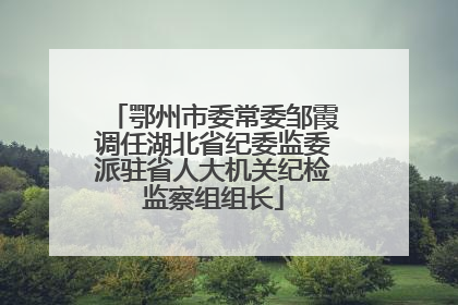 鄂州市委常委邹霞调任湖北省纪委监委派驻省人大机关纪检监察组组长
