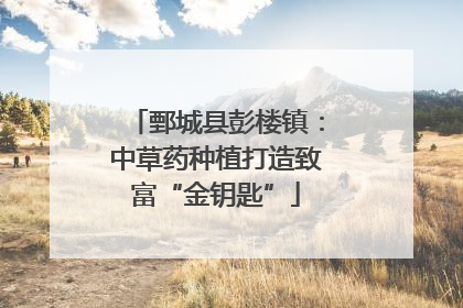鄄城县彭楼镇：中草药种植打造致富“金钥匙”