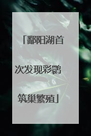 鄱阳湖首次发现彩鹮筑巢繁殖