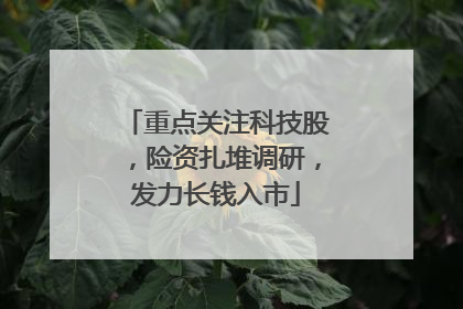 重点关注科技股，险资扎堆调研，发力长钱入市