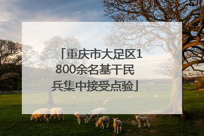 重庆市大足区1800余名基干民兵集中接受点验