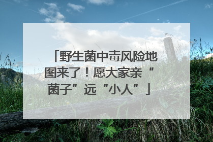 野生菌中毒风险地图来了！愿大家亲“菌子”远“小人”