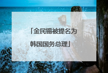 金民锡被提名为韩国国务总理