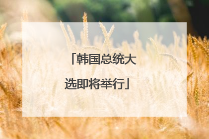 韩国总统大选即将举行