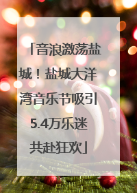 音浪激荡盐城！盐城大洋湾音乐节吸引5.4万乐迷共赴狂欢