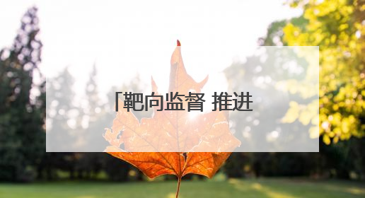 靶向监督 推进老年助餐服务