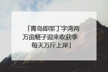 青岛即墨丁字湾两万亩蛏子迎来收获季 每天万斤上岸