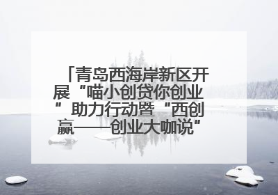 青岛西海岸新区开展“喵小创贷你创业”助力行动暨“西创赢——创业大咖说”主题活动