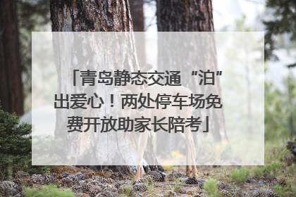 青岛静态交通“泊”出爱心！两处停车场免费开放助家长陪考