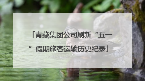 青藏集团公司刷新“五一”假期旅客运输历史纪录