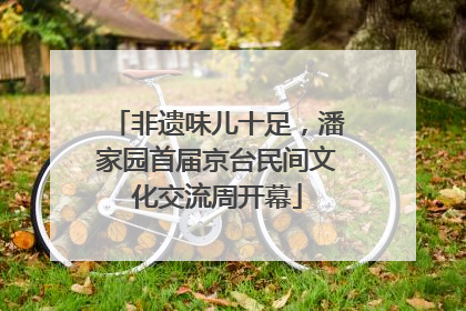 非遗味儿十足，潘家园首届京台民间文化交流周开幕