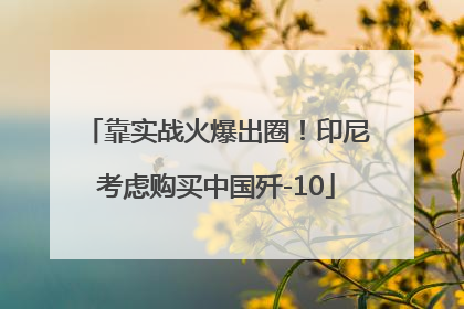 靠实战火爆出圈！印尼考虑购买中国歼-10