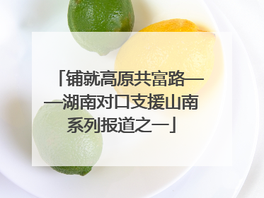 铺就高原共富路——湖南对口支援山南系列报道之一