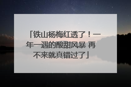 铁山杨梅红透了！一年一遇的酸甜风暴 再不来就真错过了