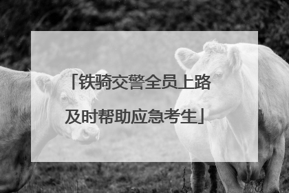 铁骑交警全员上路 及时帮助应急考生