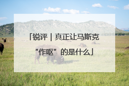 锐评｜真正让马斯克“作呕”的是什么