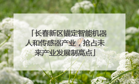 长春新区锚定智能机器人和传感器产业，抢占未来产业发展制高点