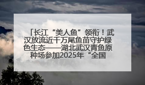 长江“美人鱼”领衔！武汉放流近千万尾鱼苗守护绿色生态——湖北武汉青鱼原种场参加2025年“全国放鱼日”增殖放流活动