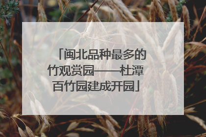闽北品种最多的竹观赏园——杜潭百竹园建成开园