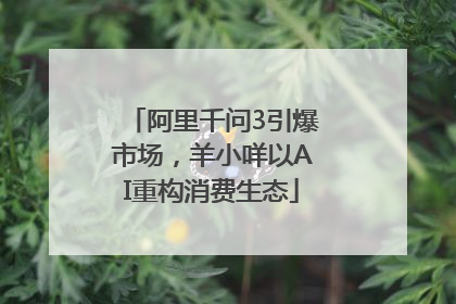 阿里千问3引爆市场，羊小咩以AI重构消费生态