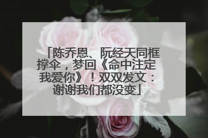 陈乔恩、阮经天同框撑伞，梦回《命中注定我爱你》！双双发文：谢谢我们都没变