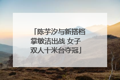 陈芋汐与新搭档掌敏洁出战 女子双人十米台夺冠