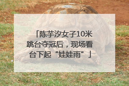 陈芋汐女子10米跳台夺冠后，现场看台下起“娃娃雨”