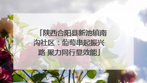 陕西合阳县新池镇南沟社区：葡萄串起振兴路 聚力同行显效能