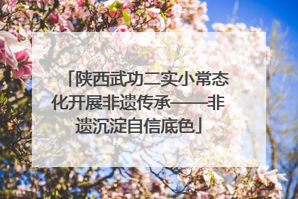 陕西武功二实小常态化开展非遗传承——非遗沉淀自信底色
