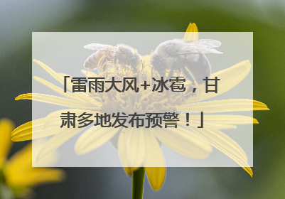 雷雨大风+冰雹，甘肃多地发布预警！